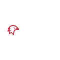jstartrendy 
